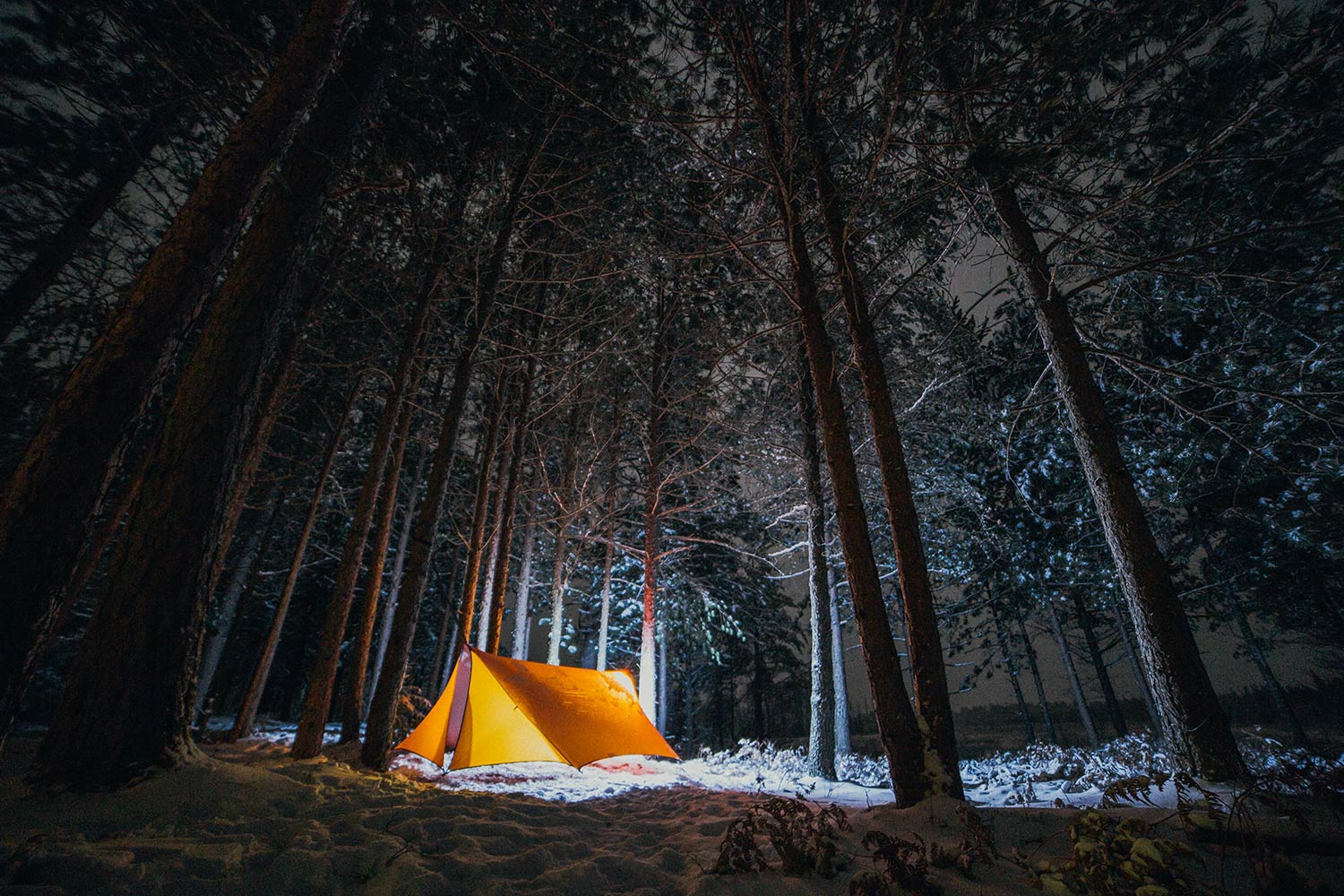 Camping in the forest. Глэмпинг Оленьи ручьи. Оленьи ручьи кемпинг палаточный. Оленьи ручьи палатки. Глэмпинг шалаш.