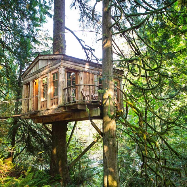 Treehouse Point 2 - CampTrend - CampLuxe